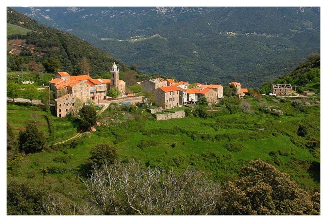Casadimela Villa Porto-Vecchio  Exterior foto